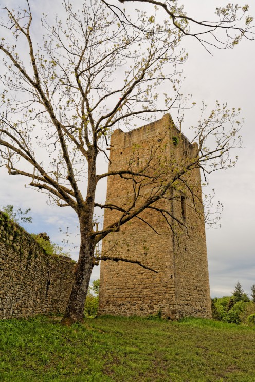 tour-saint-martin