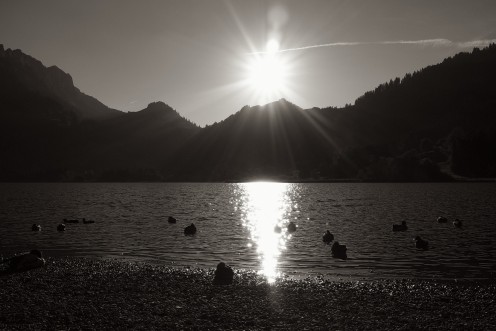 coucher-soleil-lac-noir-m