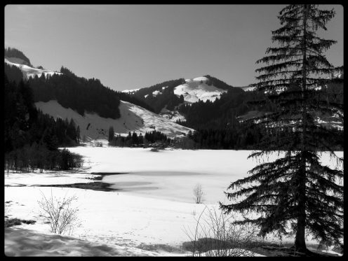 lac-noir-gele