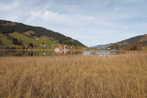 lac-noir-roseaux-c