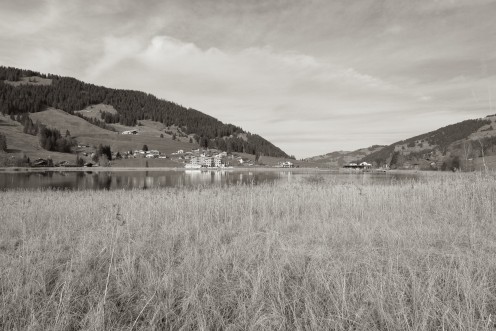 lac-noir-roseaux-m
