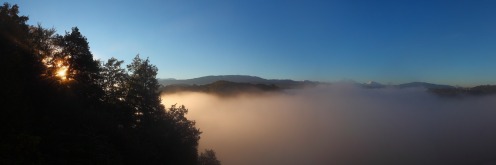 brume-sarine
