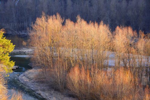 arbres-soleil-perolles