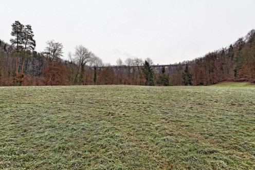 creux-loup-perolles