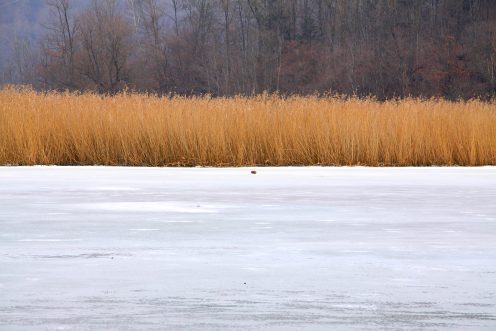 glace-lac-perolles