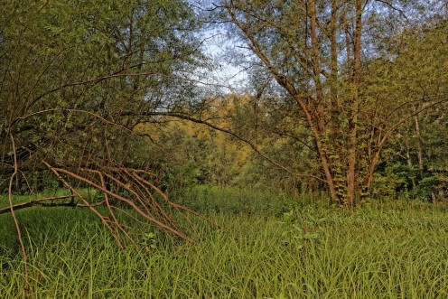 lac-perolle-ressourcement