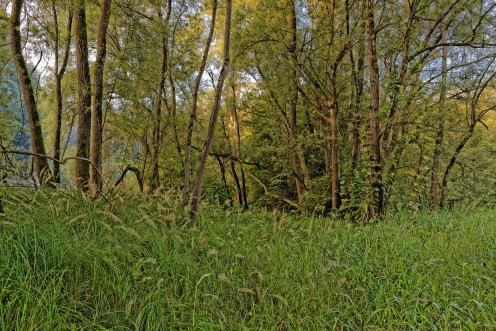 lac-perolle-sauvage