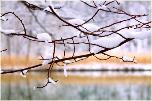 lac-perolles-neige