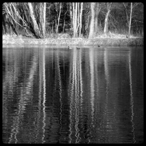 lac-perolles-reflets