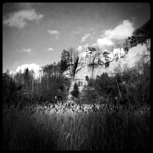lac-perolles-roseaux-3