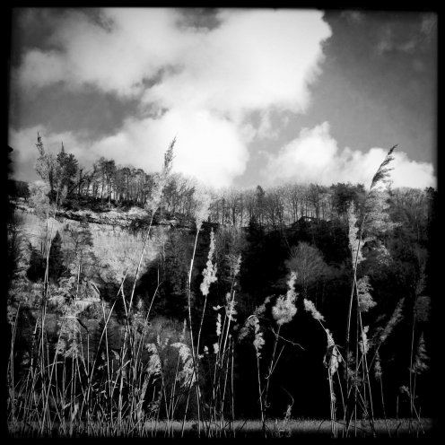 lac-perolles-roseaux-4