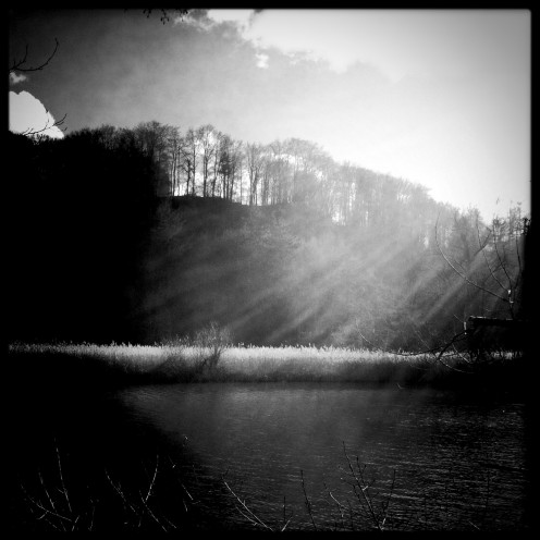 lac-perolles-roseliere