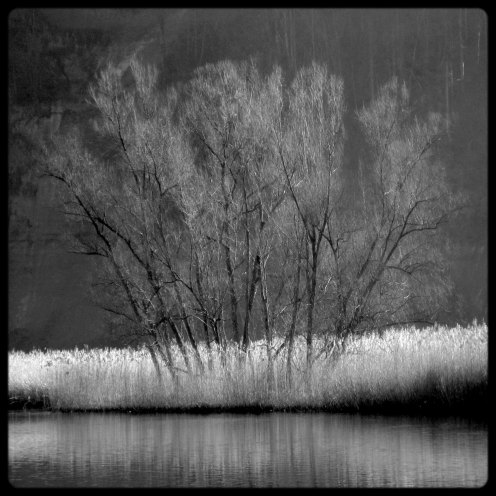 lac-perolles-sauvage