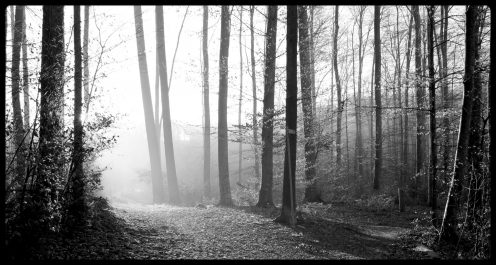 sentier-schoch-perolles