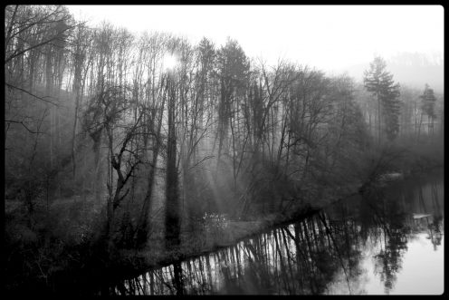 soleil-arbres-perolles
