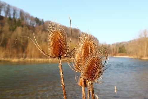 vestiges-hiver-perolles