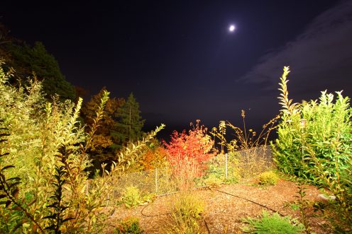 jardin-ciel-etoile