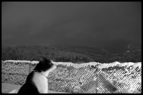 nuit-neige-decembre