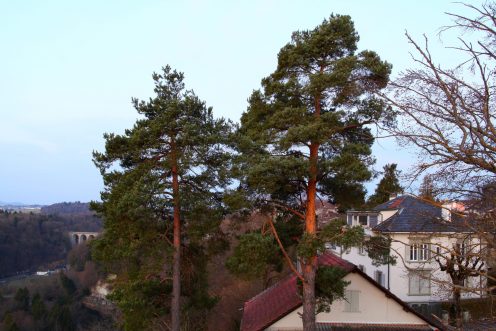 ouest-batiment