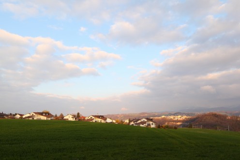 platy-marly